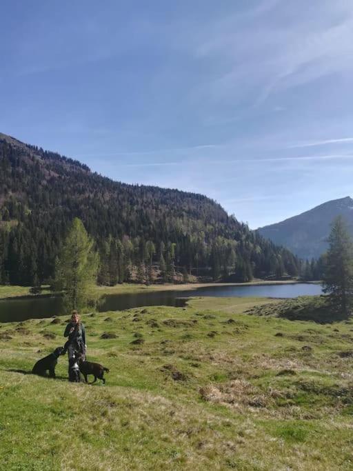 Urlaub Mit Hund Im Salzburger Land Apartment Wegscheid ภายนอก รูปภาพ